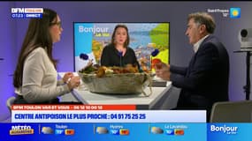 BFM Var et vous : quels champignons faut-il ramasser dans le Var ?