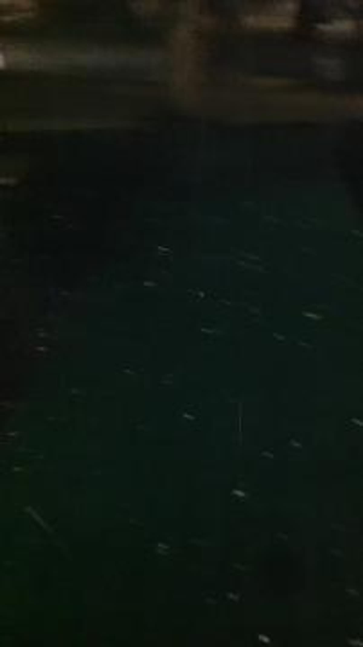 placeholder video