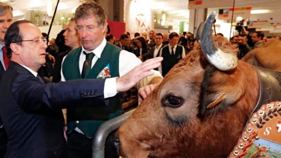 François Hollande a inauguré le 51e Salon de l'agriculture.