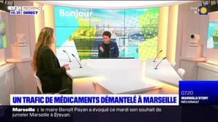 Marseille: un grand trafic de médicaments démantelé