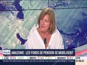 Amazonie: Les fonds de pension se mobilisent - 30/08