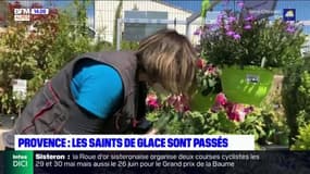 Haute-Provence : les saints de glace sont passés il est temps de planter 