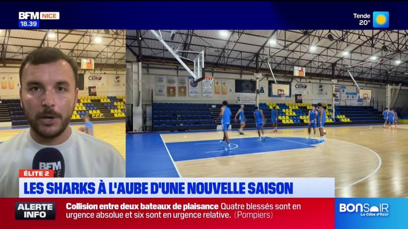 Les Sharks d'Antibes à l'aube d'une nouvelle saison