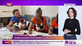 Secourisme animalier: un boom des formations pour sauver chiens et chats