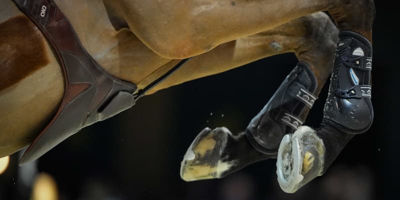Équitation