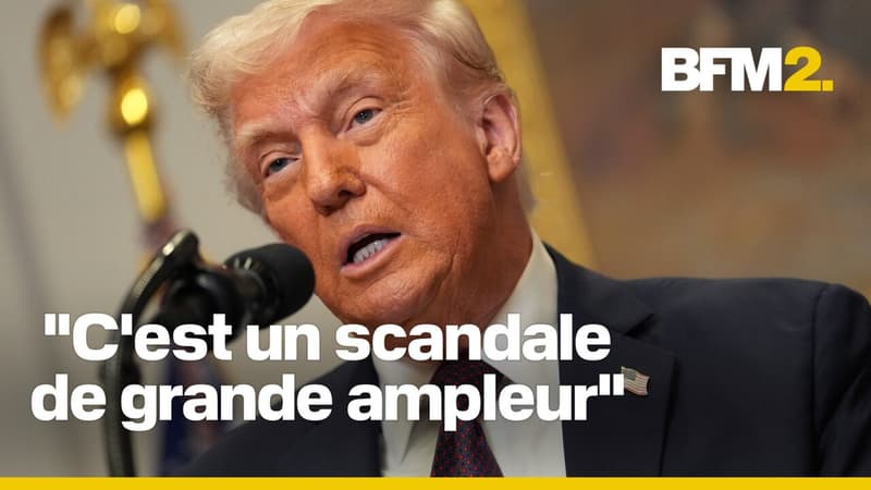 Plan militaire partagé avec un journaliste: face aux critiques, Donald Trump minimise