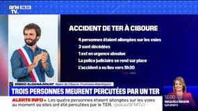 4 personnes percutées par un TER: "Il s'agirait de migrants qui dormaient ou étaient allongés sur les voies", déclare le maire de Ciboure