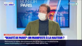 Paris: les Républicains du Conseil de Paris regrettent la disparition de la verdure