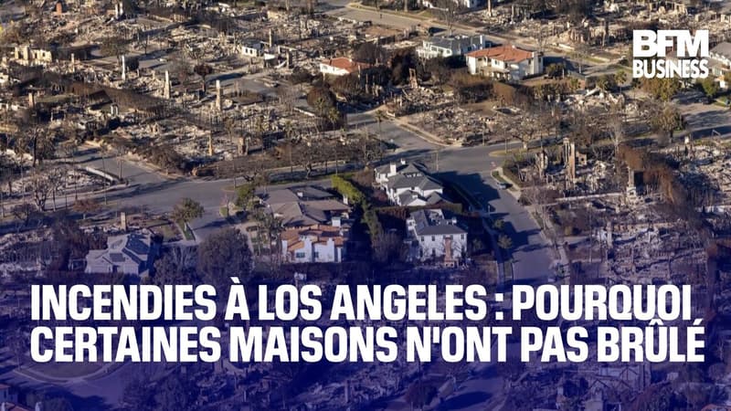 Incendies à Los Angeles : pourquoi certaines maisons n'ont pas brûlé