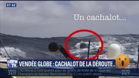 Kito de Pavant, contraint d'abandonner le Vendée Globe à cause d'un cachalot – 16/03