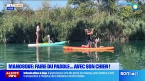Manosque : faire du paddle ... avec son chien !  