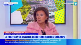 Jeanne d'Hauteserre, maire du 8e arrondissement, souhaite rapidement "mettre le protoxyde d'azote dans la liste des drogues interdite"