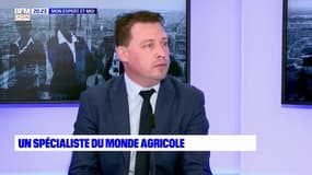 Mon expert et moi : un spécialiste du monde agricole