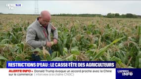 Sécheresse: le casse-tête des agriculteurs qui doivent s'adapter aux restrictions d'eau 