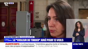 "Violeur de Tinder": "Ces femmes sont encore en grande souffrance, sept ans après avoir déposé plainte", explique l'avocate d'une plaignante