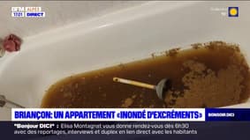 Briançon: une famille vit un calvaire dans un appartement "inondé d'excréments"