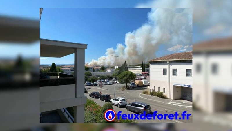 Un feu de forêt ravage une trentaine d'hectares à Fréjus, de nombreux moyens envoyés sur place