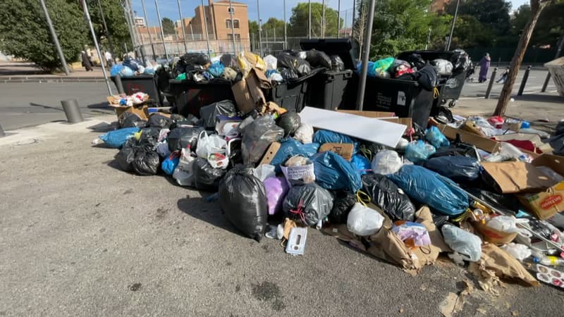 Des poubelles entassées à Marseille (Bouches-du-Rhône) le mardi 29 octobre 2024.