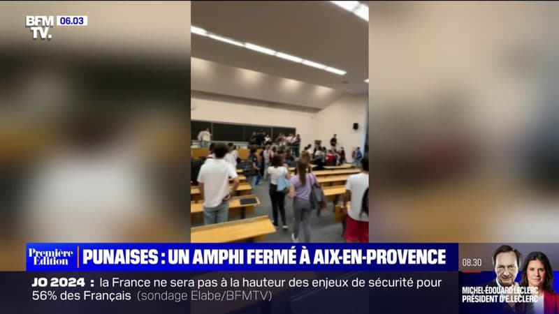 Punaises de lit: un amphithéâtre évacué par précaution à Aix-en-Provence