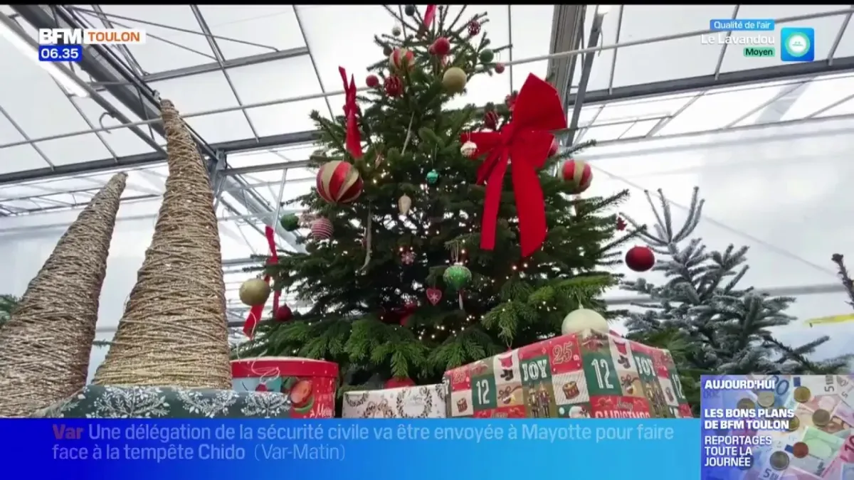 placeholder video