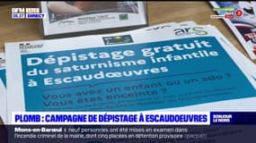 Pollution du site Metaleurop: nouvelle campagne de dépistage du saturnisme à Escaudœuvres