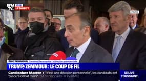 Eric Zemmour sur Marine Le Pen bloquée à la Trump Tower en 2017: "Chacun sa chance dans la vie"