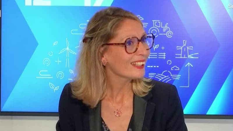 Sophie Boyer, bientôt ancienne présidente du tribunal de Gap.