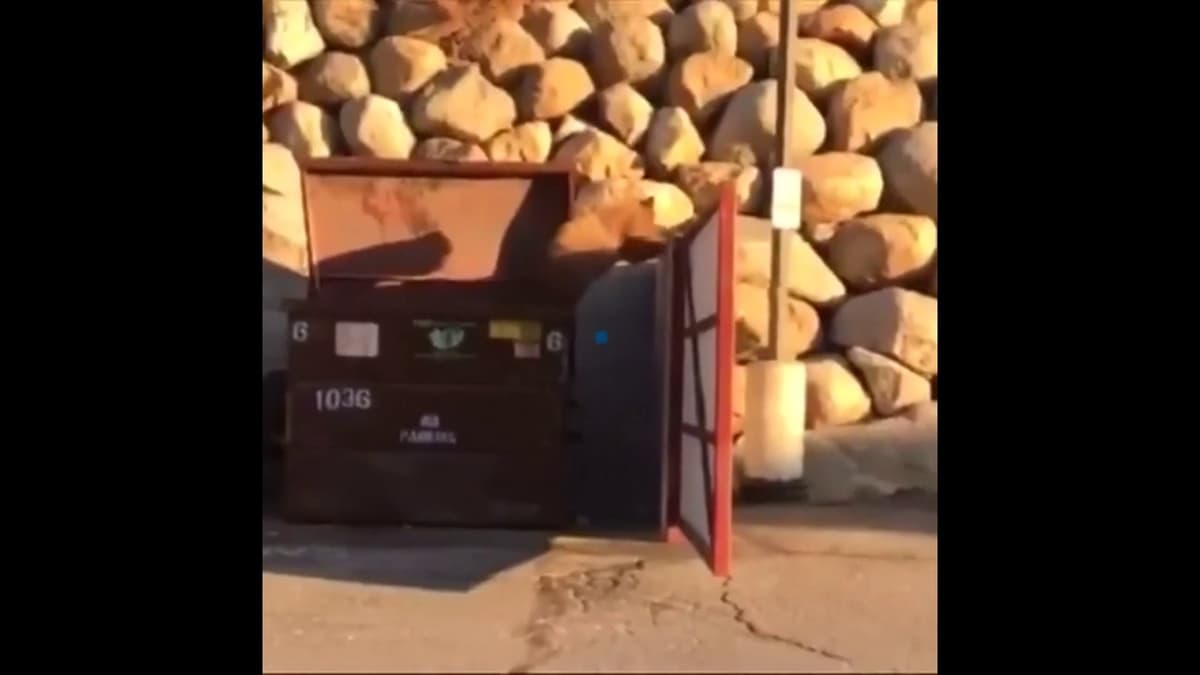 placeholder video