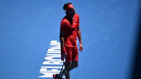 Stefanos Tsitsipas éliminé dès son entrée en lice à l'Open d'Australie par le jeune Américain Alex Michelsen (7-5, 6-3, 2-6, 6-4), le 13 janvier 2025