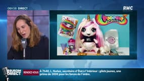 Cette licorne s'arrache à prix d'or sur Internet pour Noël: voici pourquoi