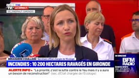 Bérangère Couillard, secrétaire d'Etat chargée de l'Ecologie: "On a un écosystème forestier qui a été dévasté" en Gironde 