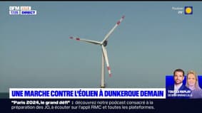 Dunkerque: une marche organisée par des opposants aux éoliennes en mer
