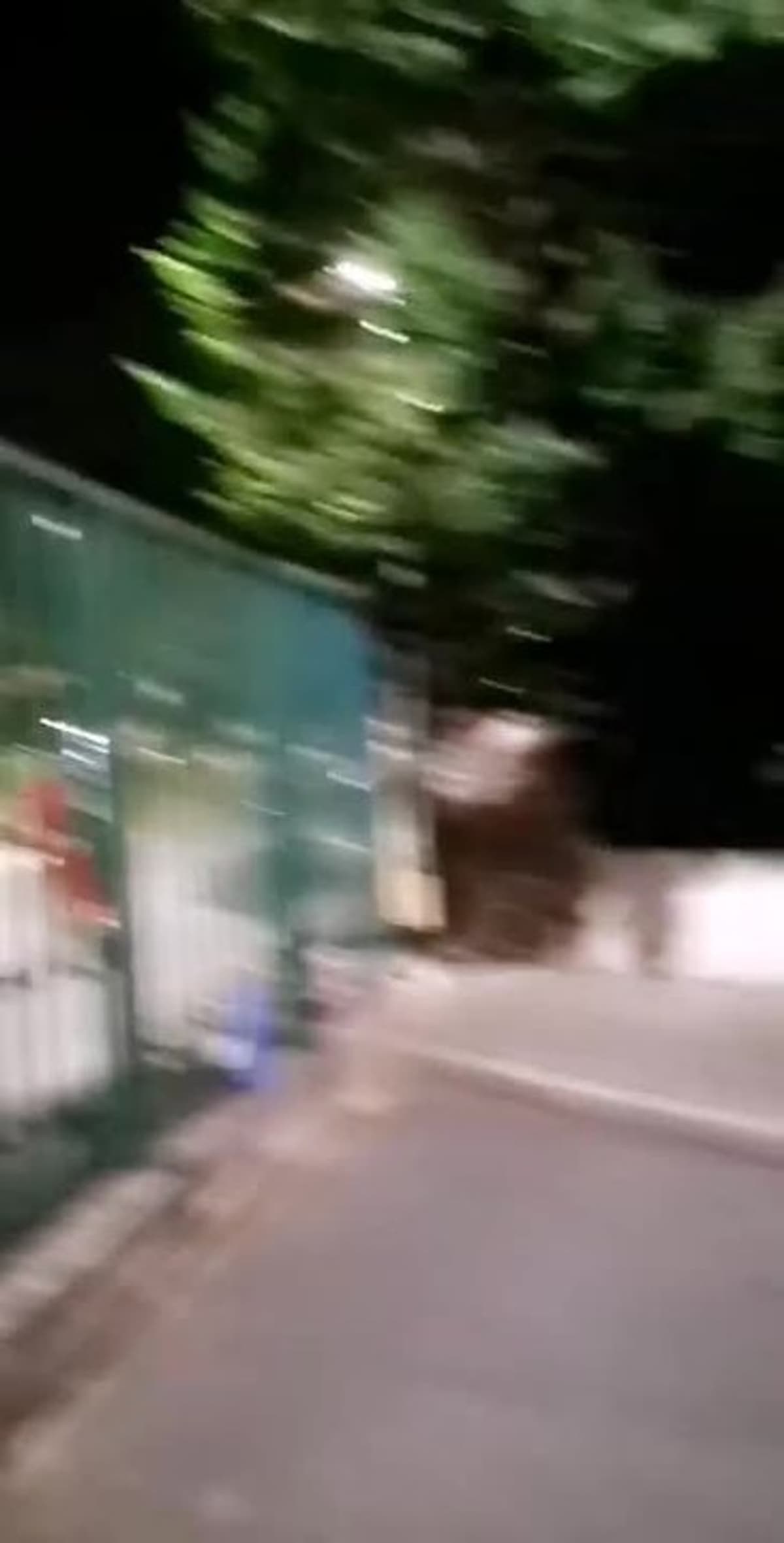 placeholder video