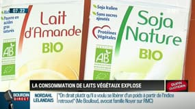 Dupin Quotidien : La consommation de laits végétaux explose - 15/02
