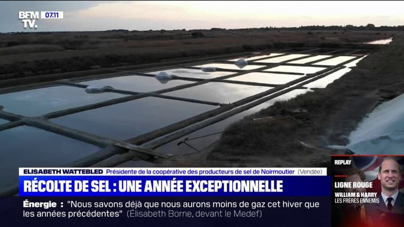 À Noirmoutier, la récolte de sel est exceptionnelle cette année en raison de la sécheresse