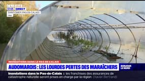 Inondations dans le Pas-de-Calais: les lourdes pertes des maraîchers