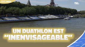 JO 2024 : Triathlon repoussé, "un duathlon est inenvisageable" réagit le DTN français