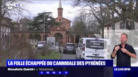 Toulouse: qui est le "cannibale des Pyrénées", qui s'était évadé de son hôpital psychiatrique ?