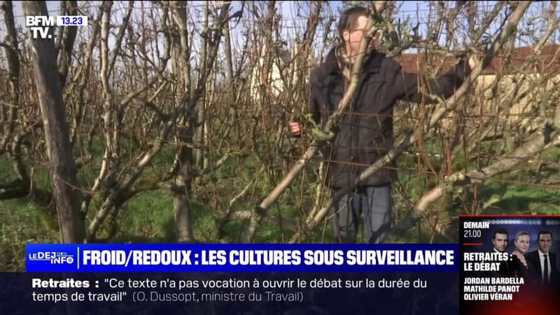 La perspective du prochain redoux inquiète les agriculteurs