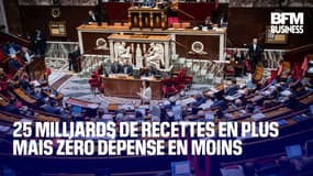 Budget 2026: "La France est addicte à la dépense publique"