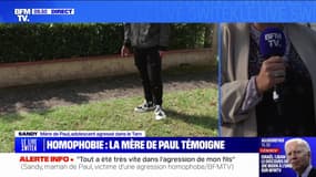 Agression d'un adolescent dans le Tarn: le caractère homophobe "ne fait aucun doute" pour la mère de la victime