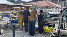 Le port de Nice