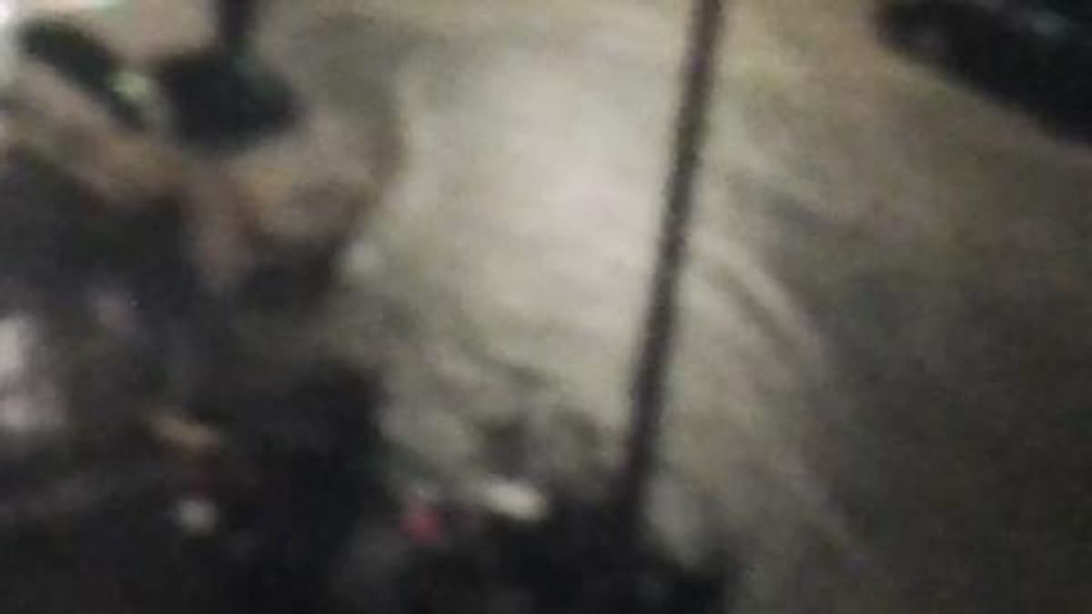 placeholder video