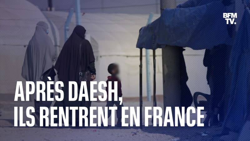 Après Daesh, ils rentrent en France