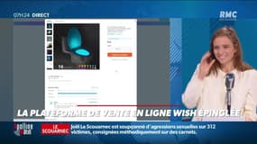Dupin Quotidien : La plateforme de vente en ligne Wish épinglée - 30/11
