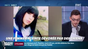 Une femme enceinte dévorée par des chiens: ce que l'on sait