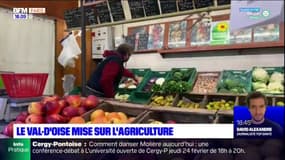 Val-d'Oise: le département mise sur l'agriculture