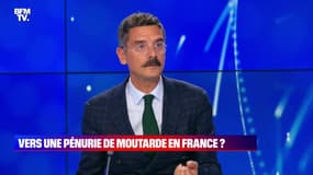 Vers une pénurie de moutarde en France ? - 20/04