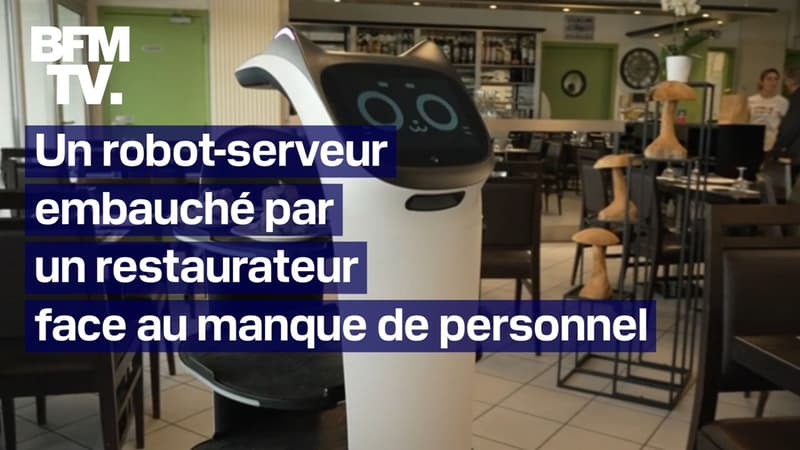 Un restaurateur du Lot embauche un robot-serveur par manque de personnel