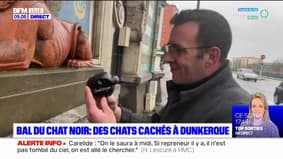 Dunkerque: chasse au trésor pour gagner des places pour le bal du chat noir